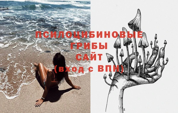 ПСИЛОЦИБИНОВЫЕ ГРИБЫ Абдулино